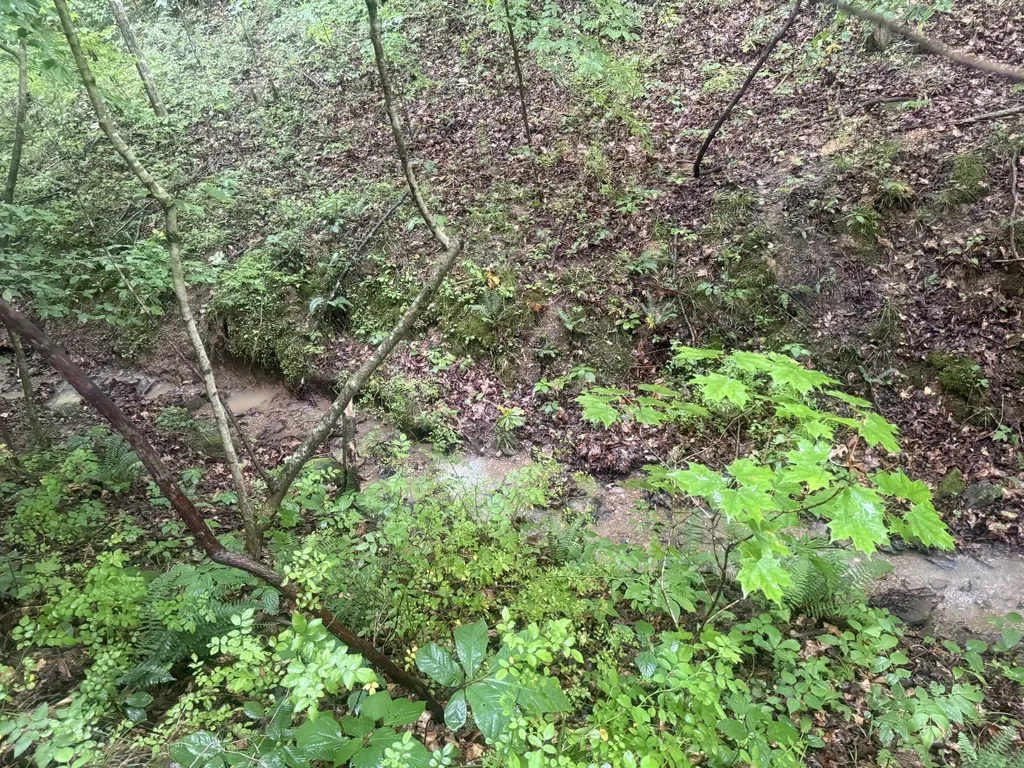293 Ora Stevens Road Sandy Hook KY 41171