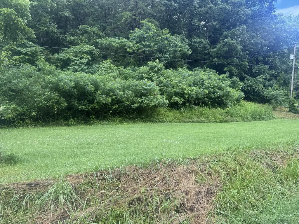 293 Ora Stevens Road Sandy Hook KY 41171