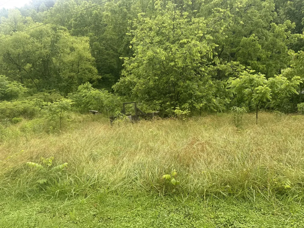 293 Ora Stevens Road Sandy Hook KY 41171