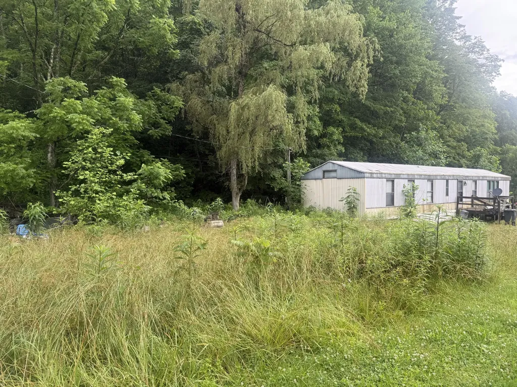 293 Ora Stevens Road Sandy Hook KY 41171