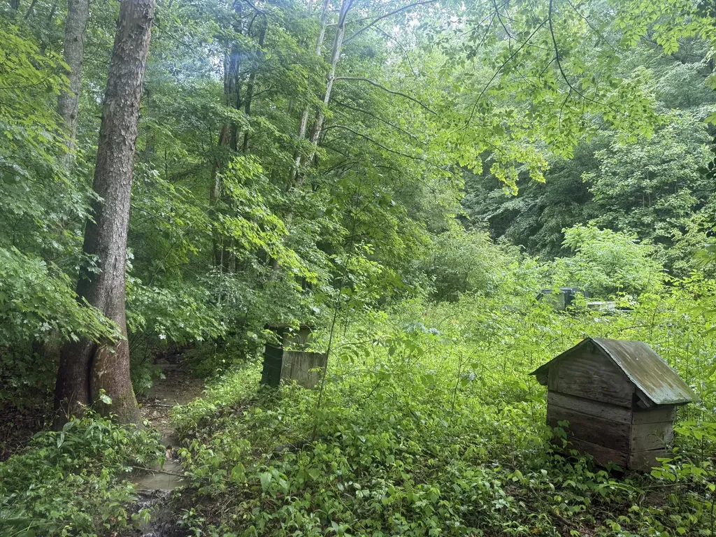 293 Ora Stevens Road Sandy Hook KY 41171