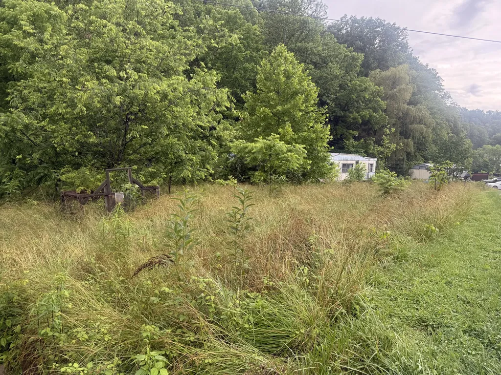 293 Ora Stevens Road Sandy Hook KY 41171