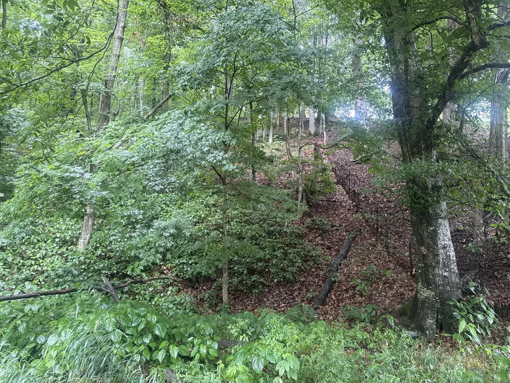 293 Ora Stevens Road Sandy Hook KY 41171