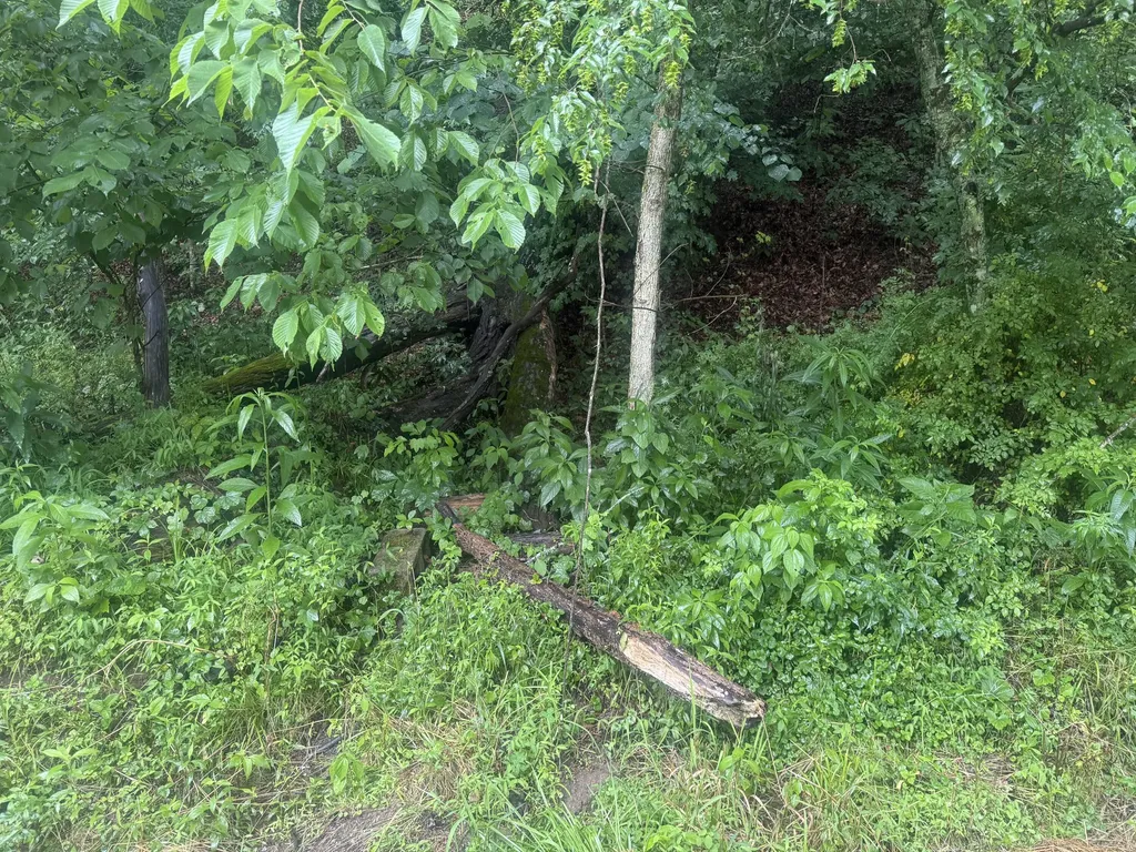 293 Ora Stevens Road Sandy Hook KY 41171