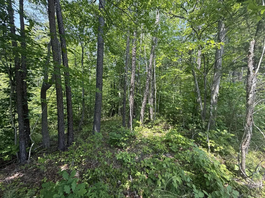 81 Happy Acres Road Beattyville KY 41311