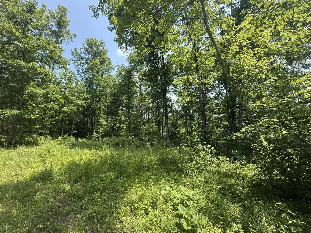 81 Happy Acres Road Beattyville KY 41311