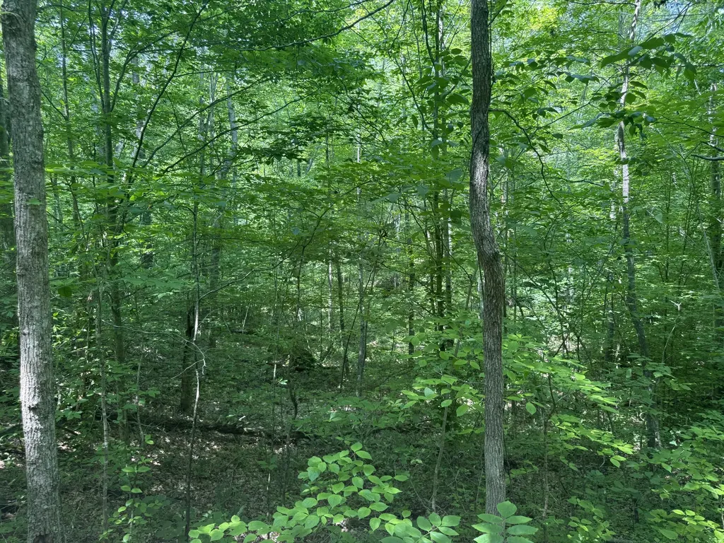 81 Happy Acres Road Beattyville KY 41311