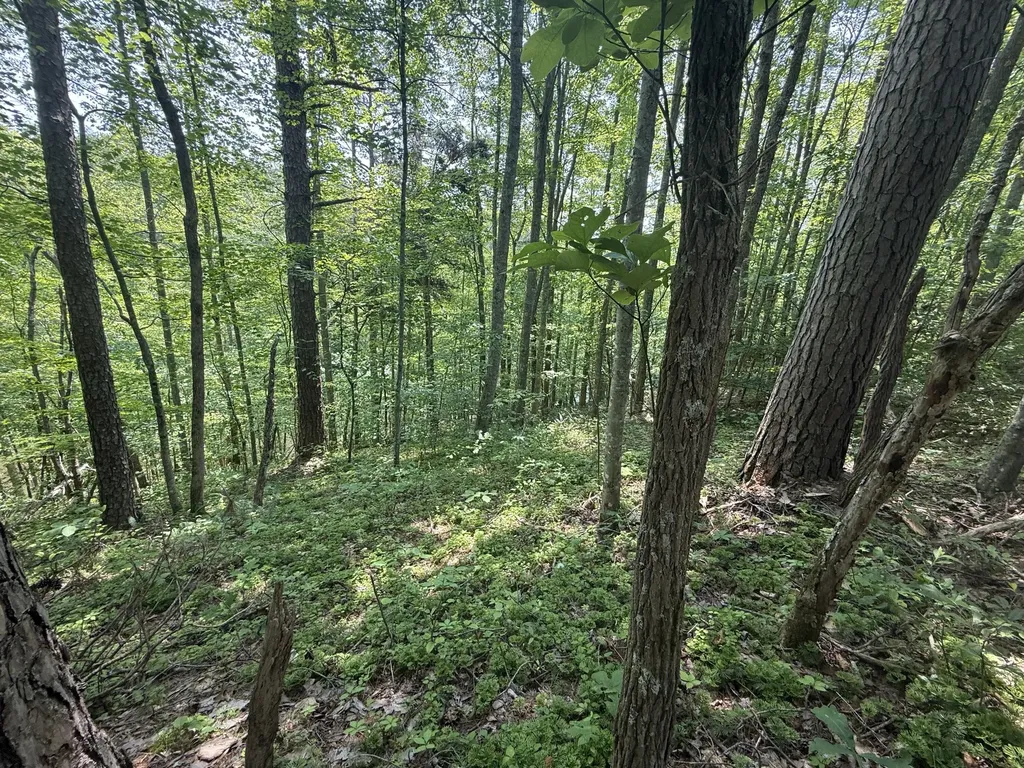 81 Happy Acres Road Beattyville KY 41311