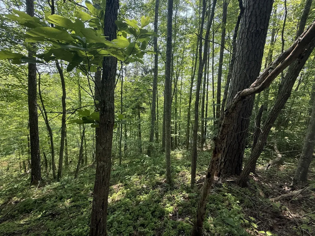 81 Happy Acres Road Beattyville KY 41311