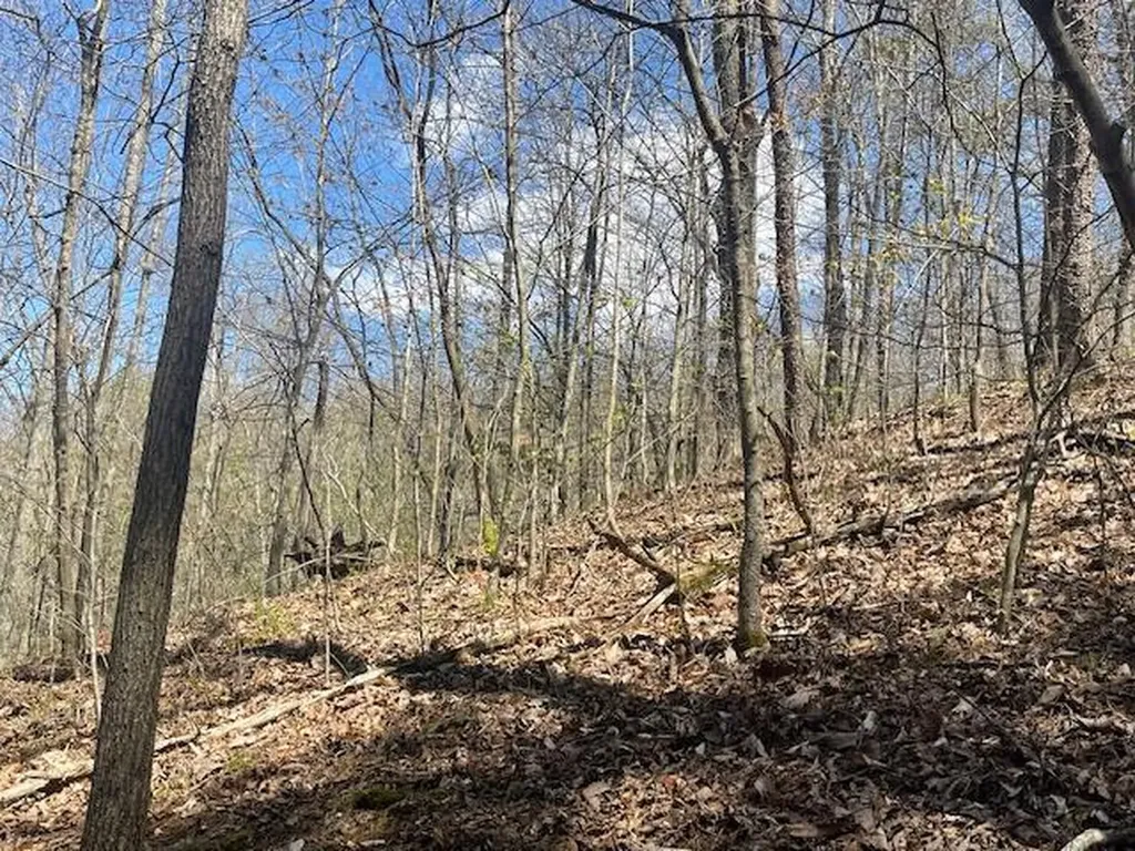151 Conway Lane Gray KY 40734
