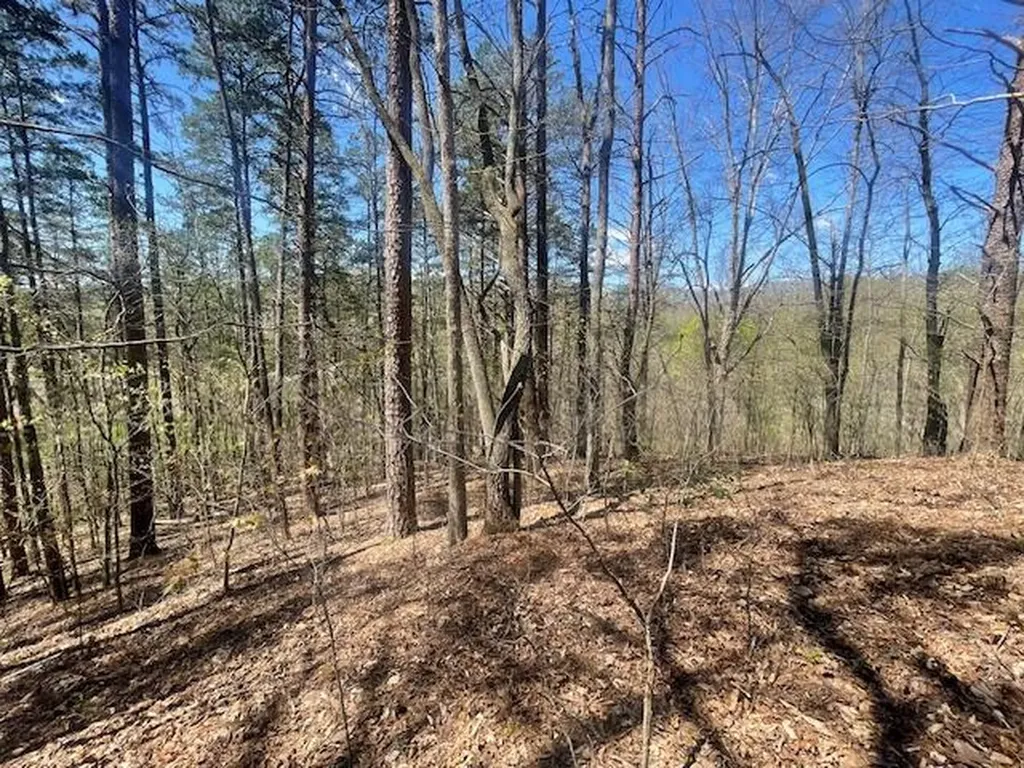151 Conway Lane Gray KY 40734