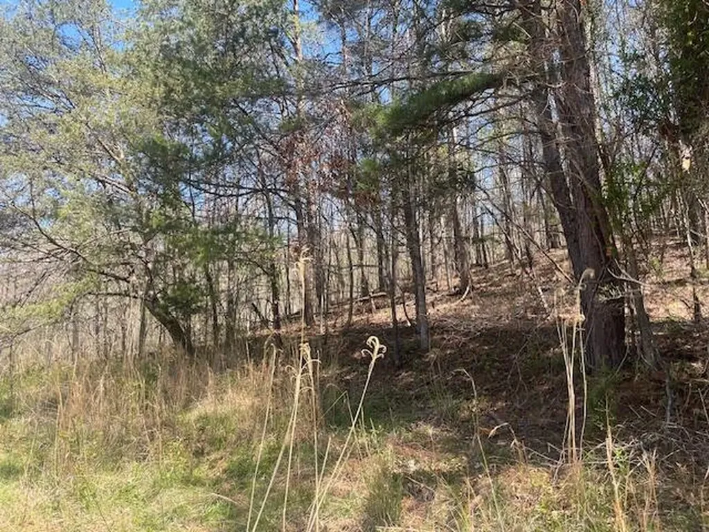 151 Conway Lane Gray KY 40734