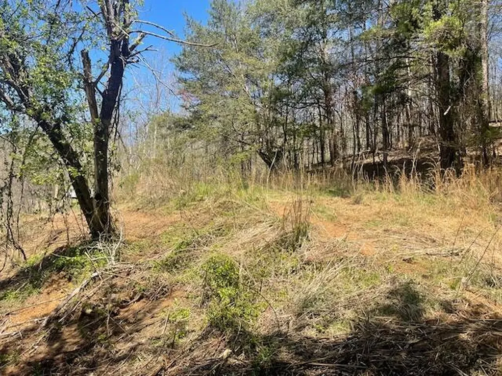 151 Conway Lane Gray KY 40734