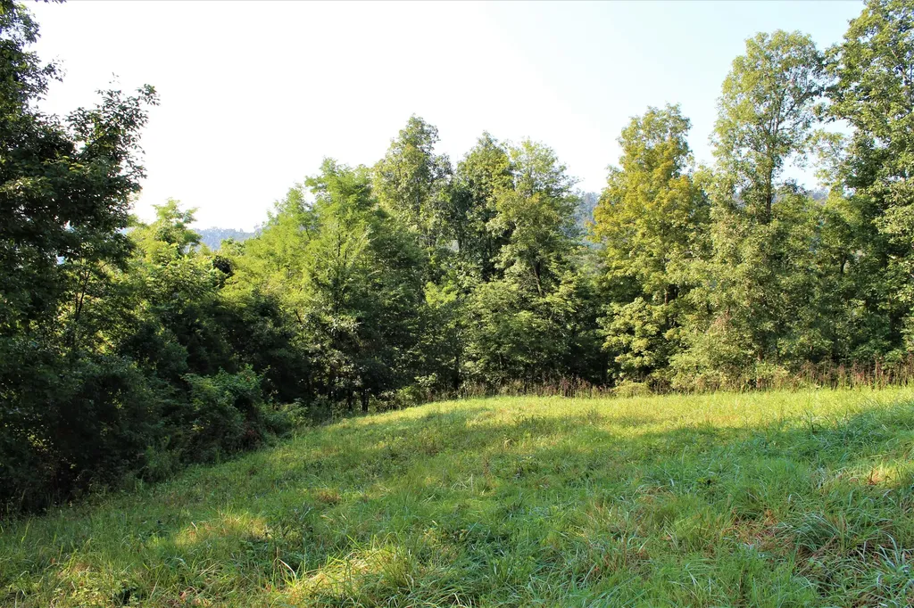 5446 Key 378 Vancleve KY 41385