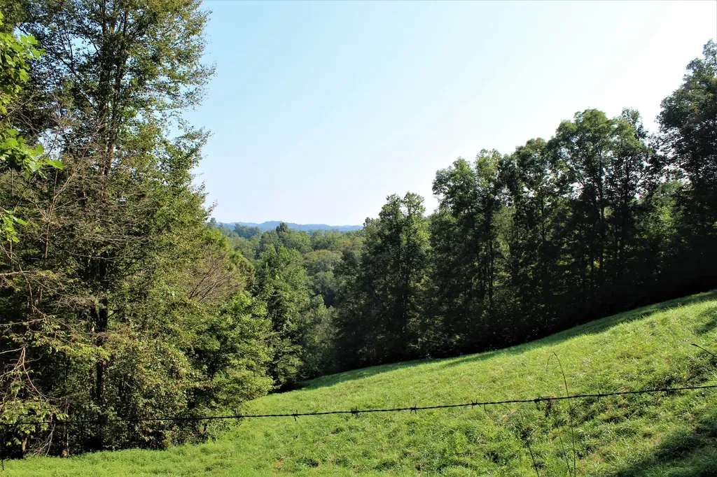 5446 Key 378 Vancleve KY 41385