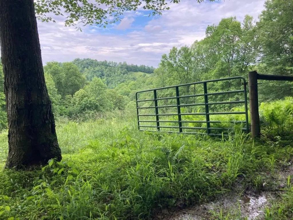 5446 Key 378 Vancleve KY 41385