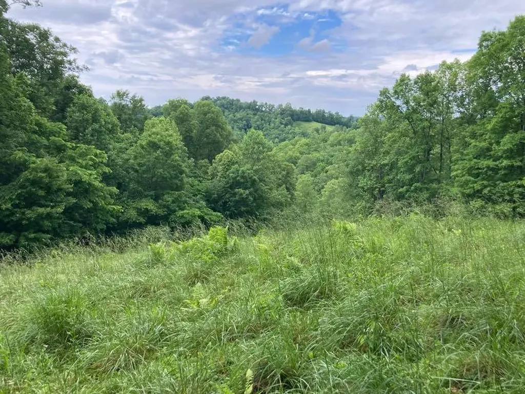 5446 Key 378 Vancleve KY 41385