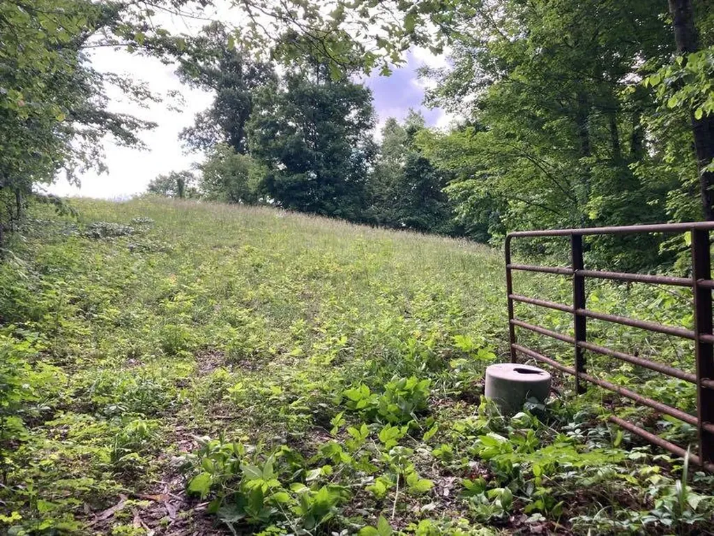 5446 Key 378 Vancleve KY 41385