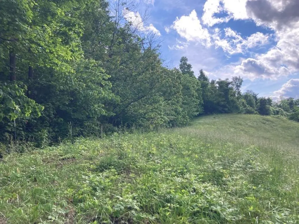 5446 Key 378 Vancleve KY 41385