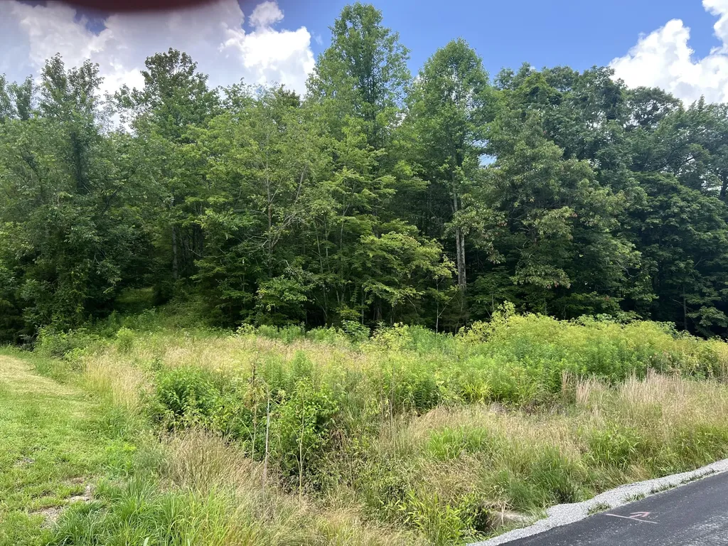 9999 White Oak Road Junction City KY 40440