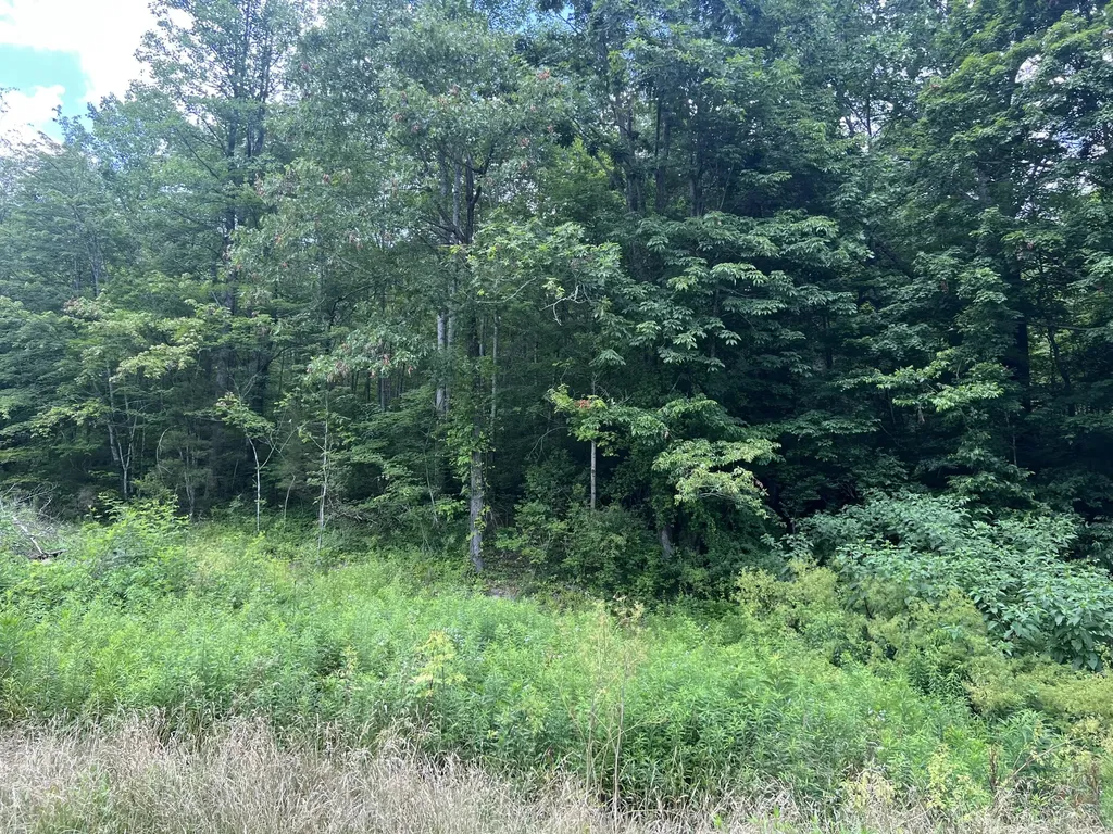 9999 White Oak Road Junction City KY 40440