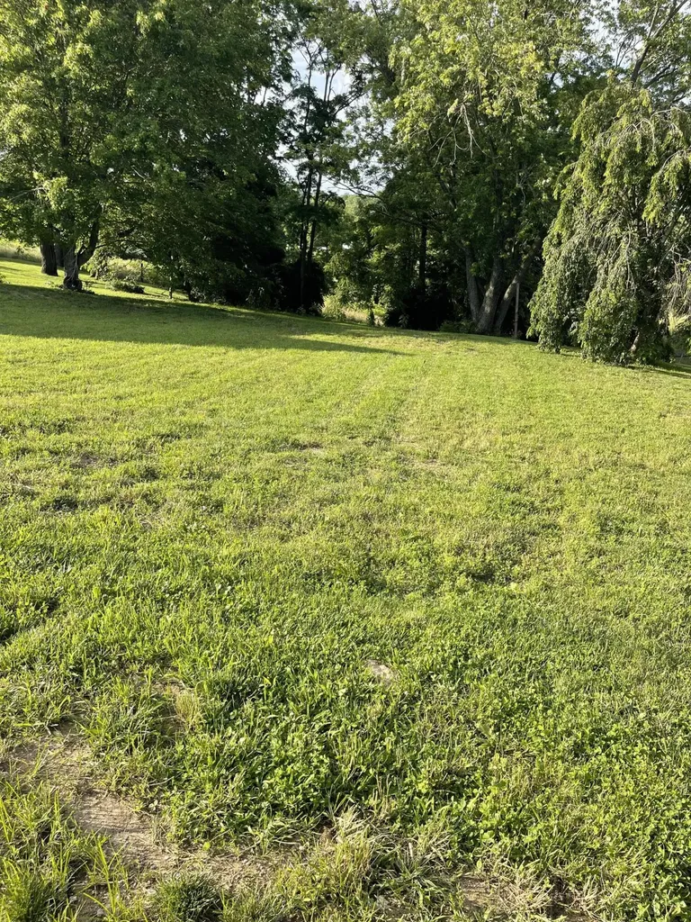 232 Mills Avenue Flemingsburg KY 41041