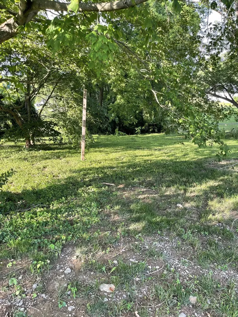 232 Mills Avenue Flemingsburg KY 41041