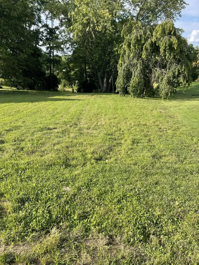 232 Mills Avenue Flemingsburg KY 41041