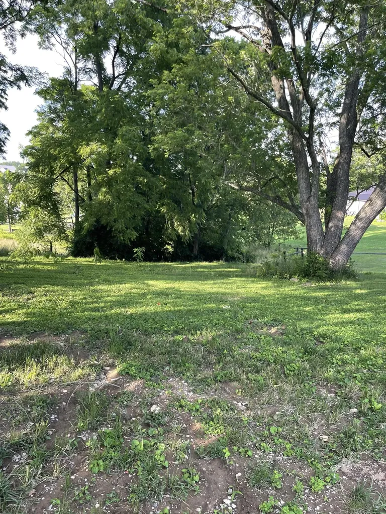 232 Mills Avenue Flemingsburg KY 41041