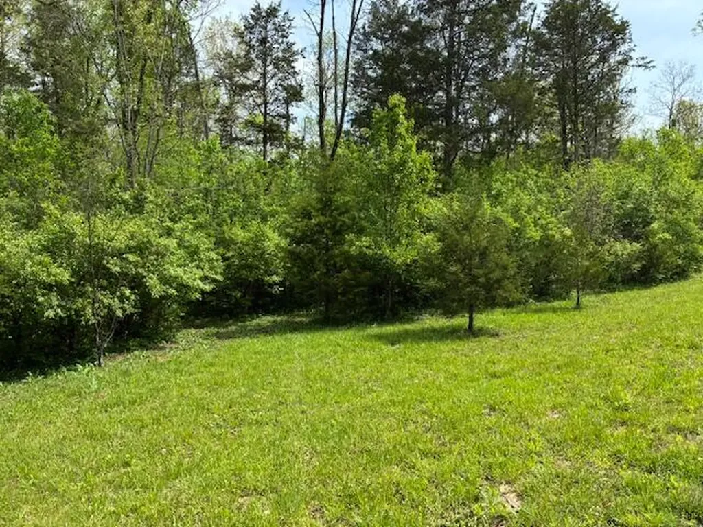 63 Elijah Court Lawrenceburg KY 40342
