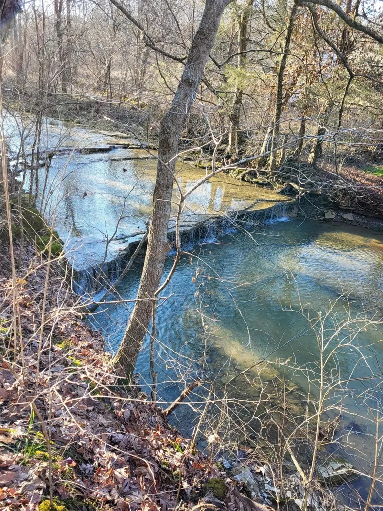 88 Persimmon Ridge Road Carlisle KY 40311