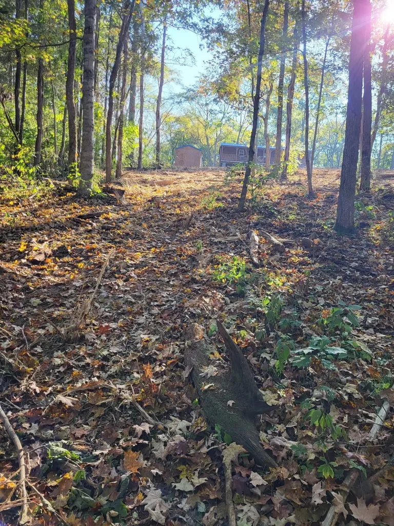 88 Persimmon Ridge Road Carlisle KY 40311