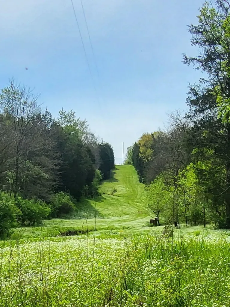 88 Persimmon Ridge Road Carlisle KY 40311