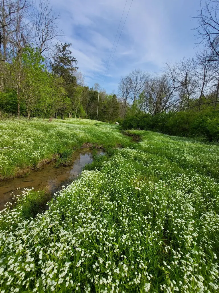 88 Persimmon Ridge Road Carlisle KY 40311