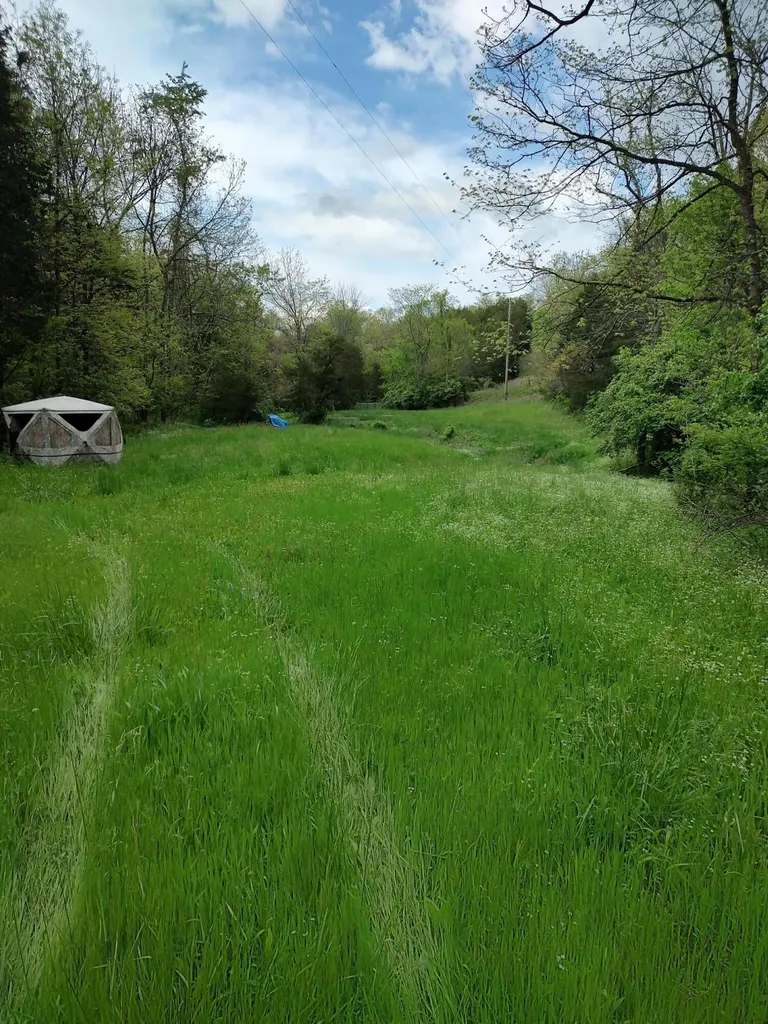 88 Persimmon Ridge Road Carlisle KY 40311