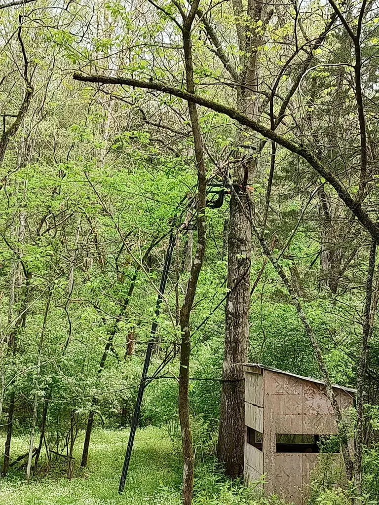 88 Persimmon Ridge Road Carlisle KY 40311