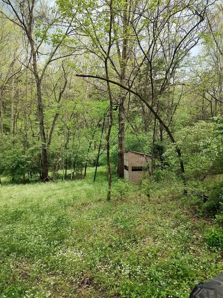 88 Persimmon Ridge Road Carlisle KY 40311