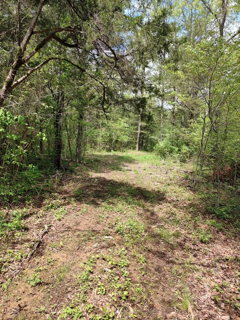 88 Persimmon Ridge Road Carlisle KY 40311