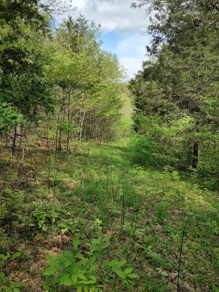 88 Persimmon Ridge Road Carlisle KY 40311