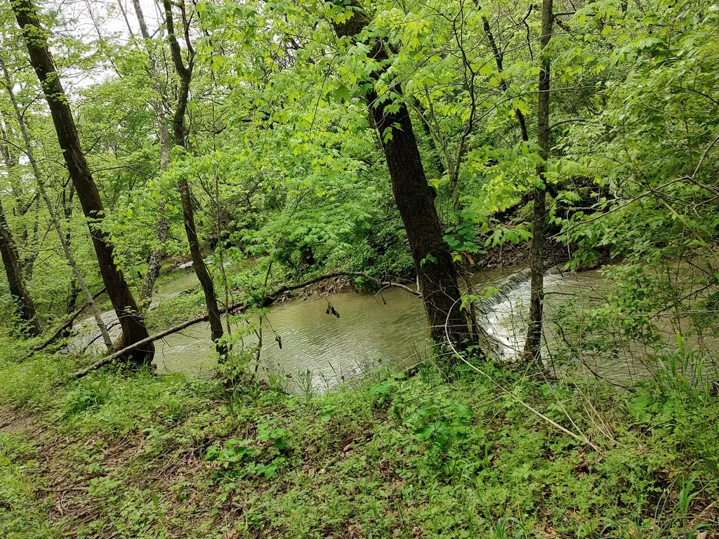 88 Persimmon Ridge Road Carlisle KY 40311