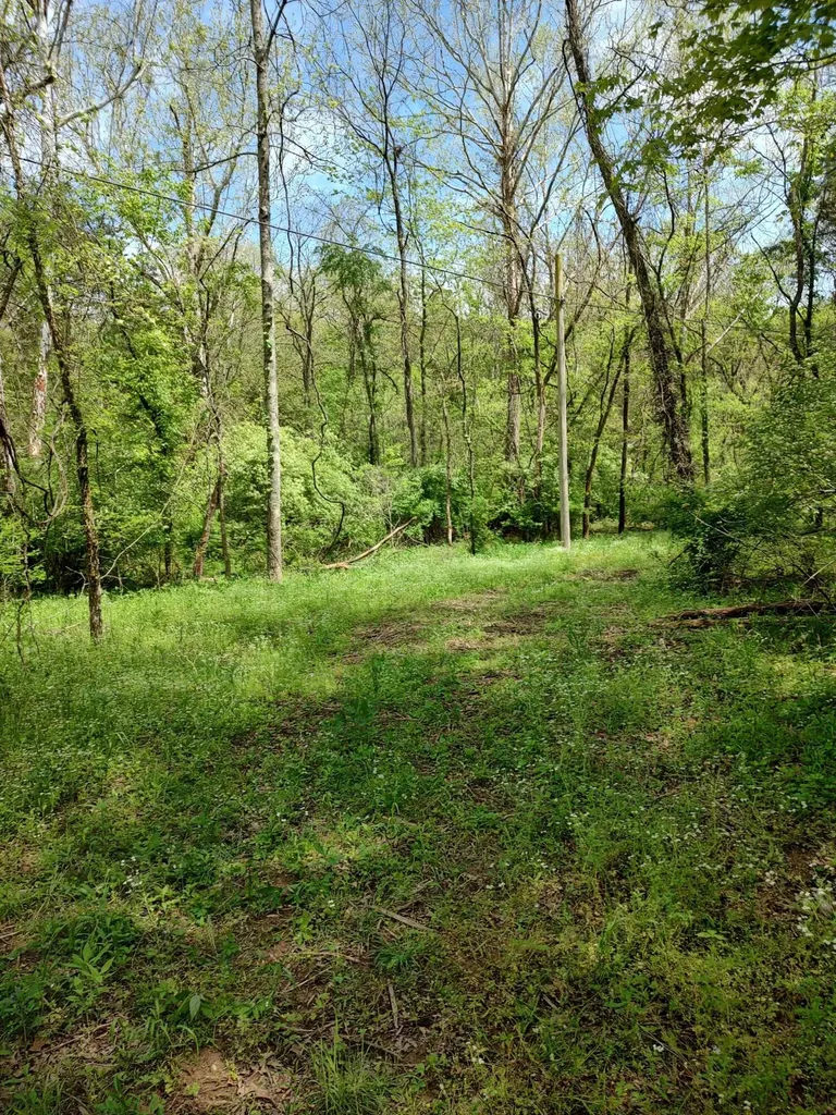 88 Persimmon Ridge Road Carlisle KY 40311