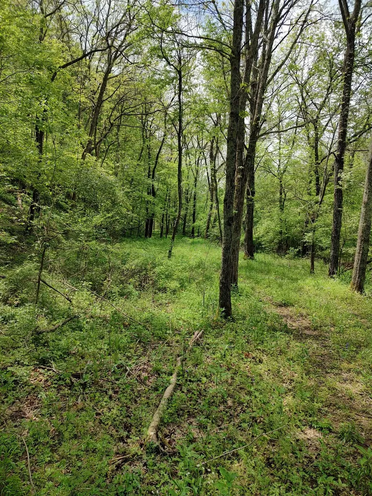 88 Persimmon Ridge Road Carlisle KY 40311