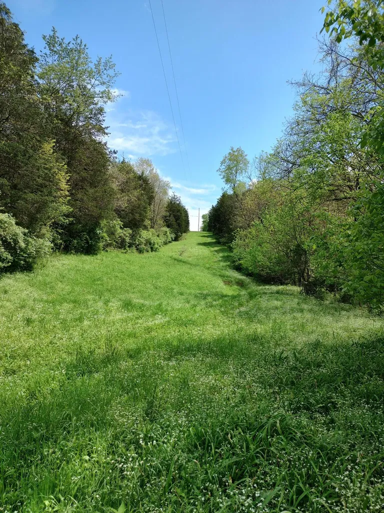 88 Persimmon Ridge Road Carlisle KY 40311