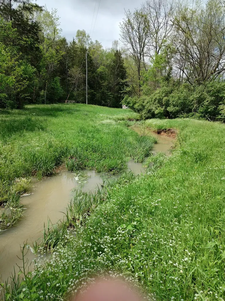 88 Persimmon Ridge Road Carlisle KY 40311