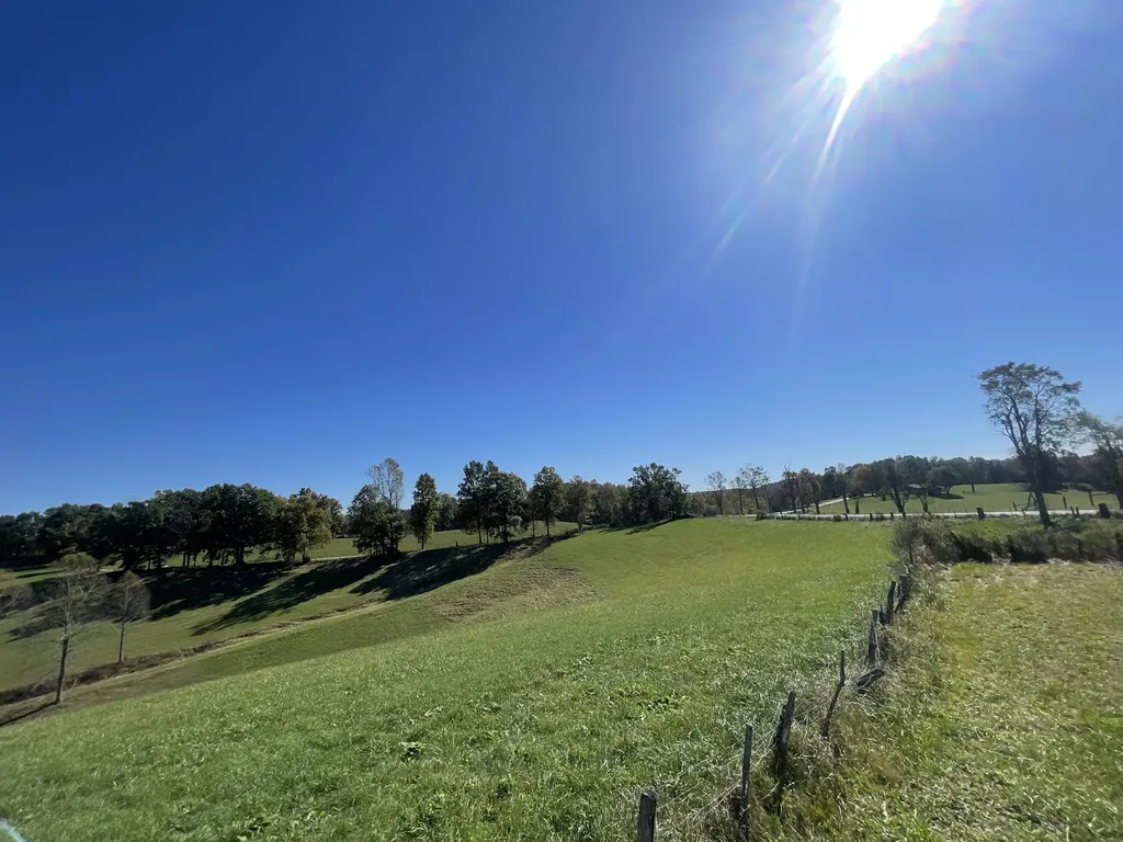 2494 Artville Road Wellington KY 40387