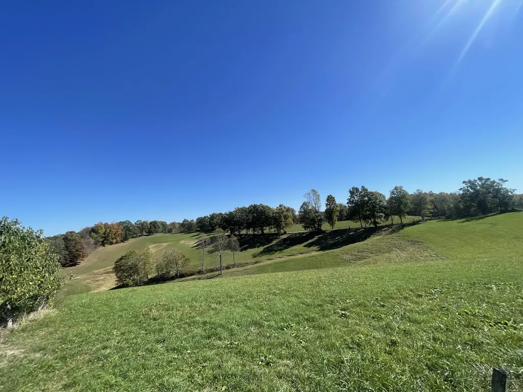 2494 Artville Road Wellington KY 40387