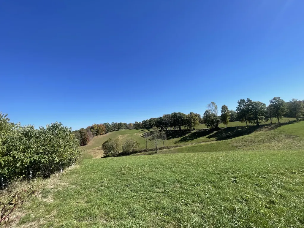 2494 Artville Road Wellington KY 40387