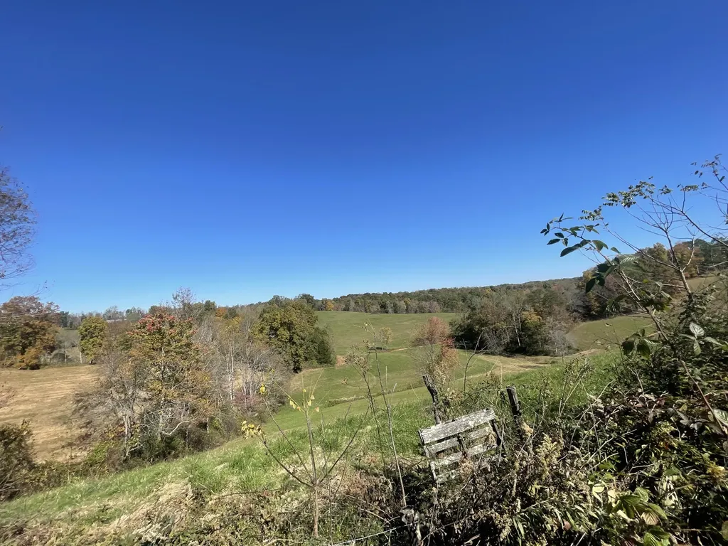 2494 Artville Road Wellington KY 40387