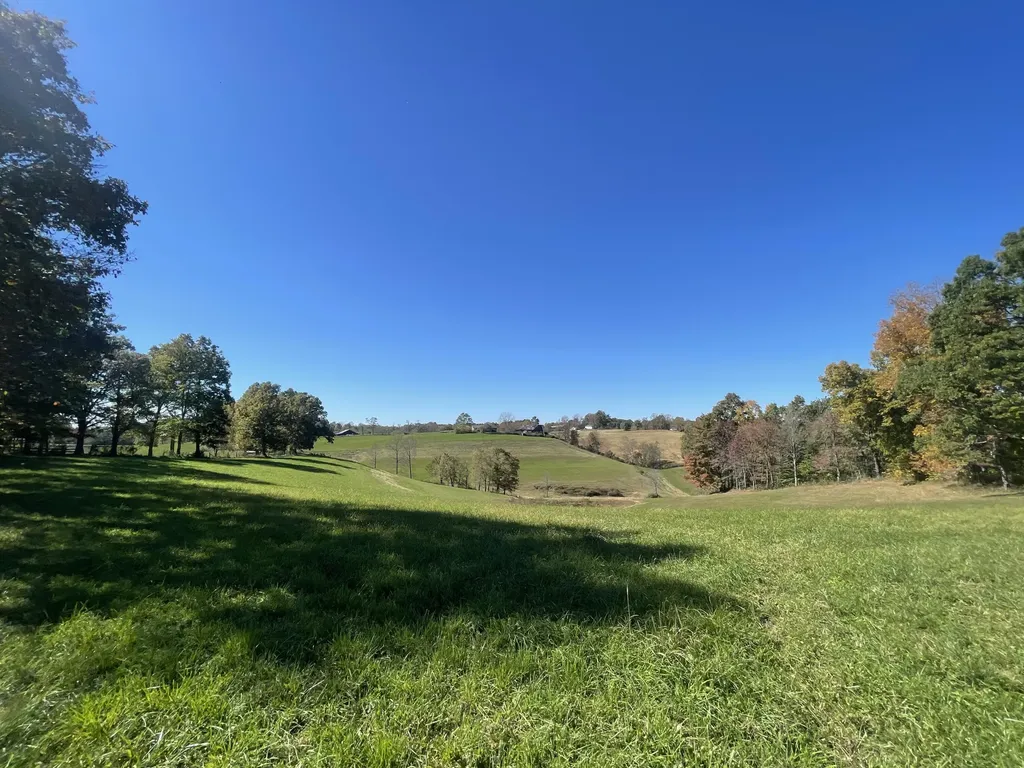 2494 Artville Road Wellington KY 40387