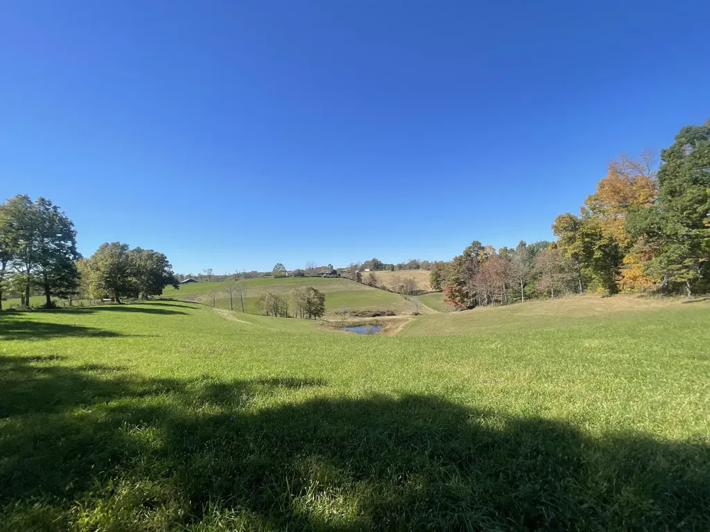 2494 Artville Road Wellington KY 40387